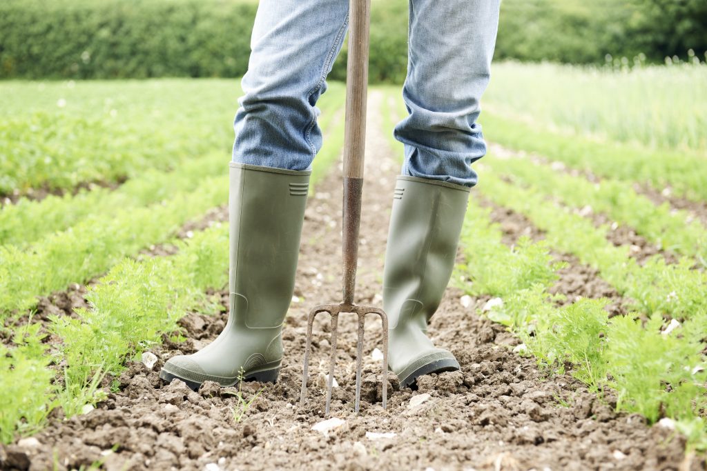 Close Up Of Farmer Working In Organic Farm Field